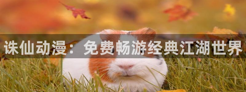 里番兄妹动漫在线观看：诛仙动漫：免费畅游经典江湖世界配图