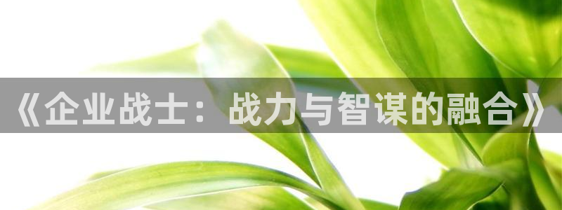肉里番动漫在线观看：《企业战士：战力与智谋的融合》配图