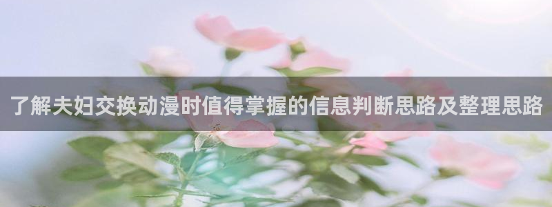 里番去修动漫在线观看:了解夫妇交换动漫时值得掌握的信息判断思路及整理思路配图