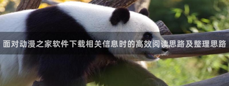 各种里番动漫在线观看：面对动漫之家软件下载相关信息时的高效阅读思路及整理思路配图