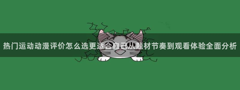 番里番动漫在线观看：热门运动动漫评价怎么选更适合自己从题材节奏到观看体验全面分析配图