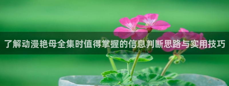 里番超乳动漫在线观看:了解动漫艳母全集时值得掌握的信息判断思路与实用技巧配图