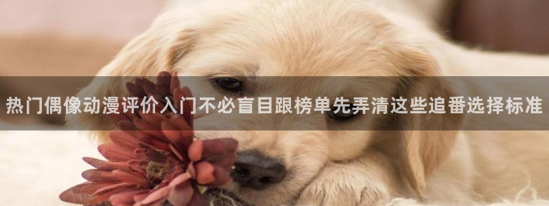 琴女里番动漫在线观看:热门偶像动漫评价入门不必盲目跟榜单先弄清这些追番选择标准配图